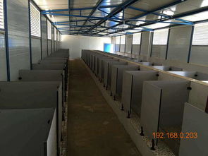 甘肃兰州与青海地区厕所隔断市场概览及技术咨询指南